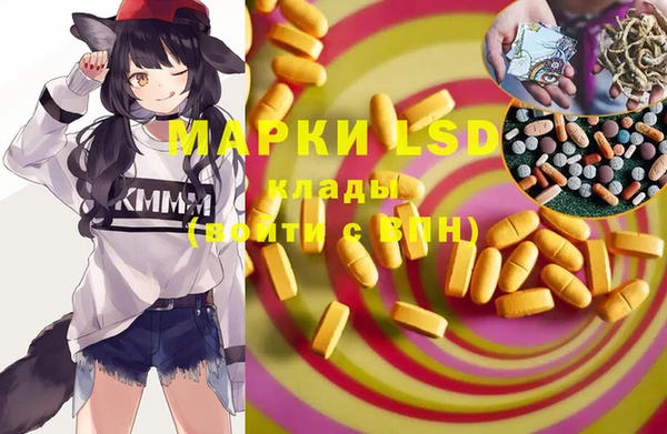 дживик Абинск