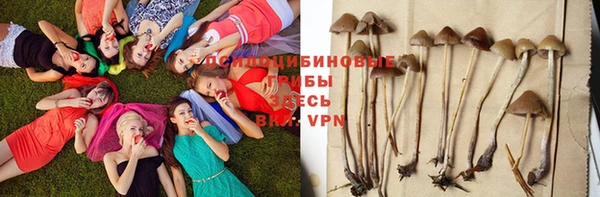 эйфоретик Абдулино