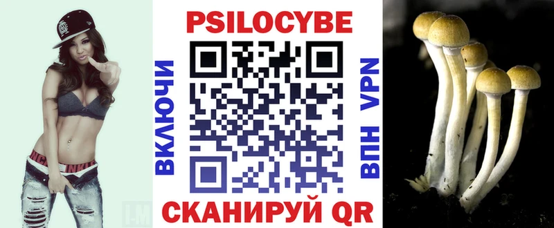 Псилоцибиновые грибы мухоморы даркнет формула Усолье-Сибирское