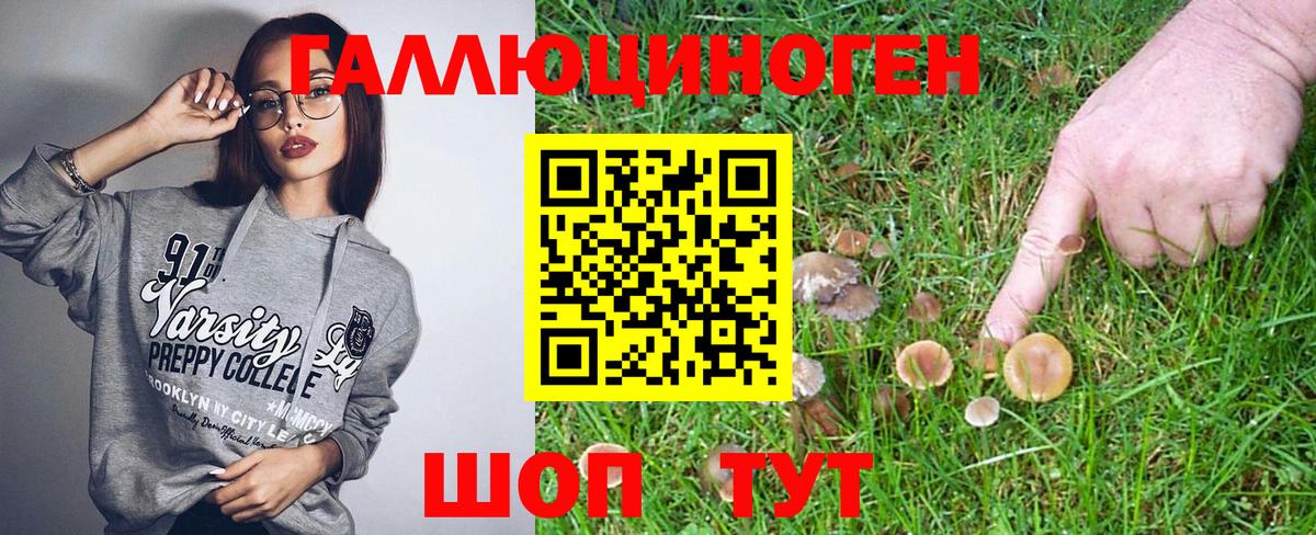 Псилоцибиновые грибы прущие грибы Усолье-Сибирское